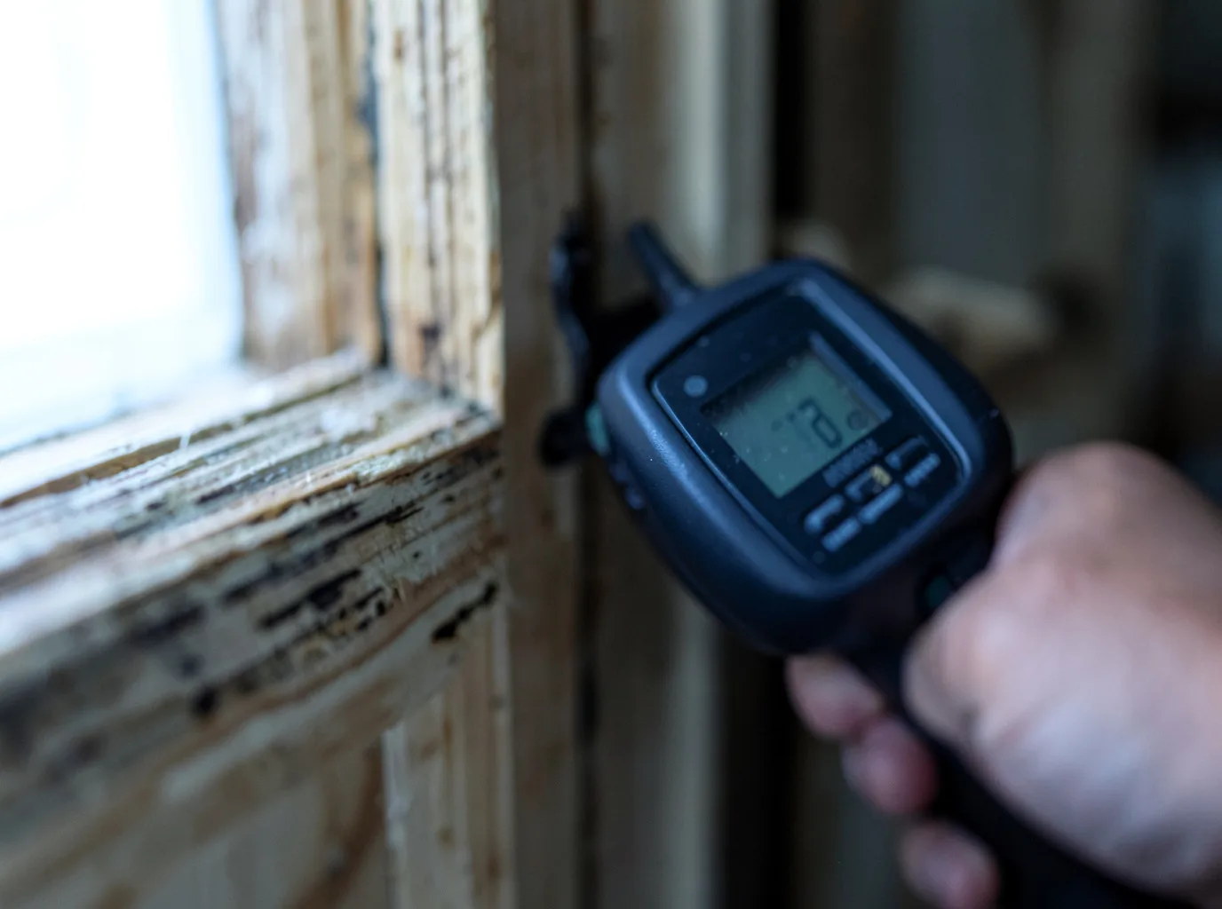 Moisture Inspection And Documentation in Commodore, PA